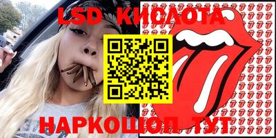 прущие грибы Краснодар