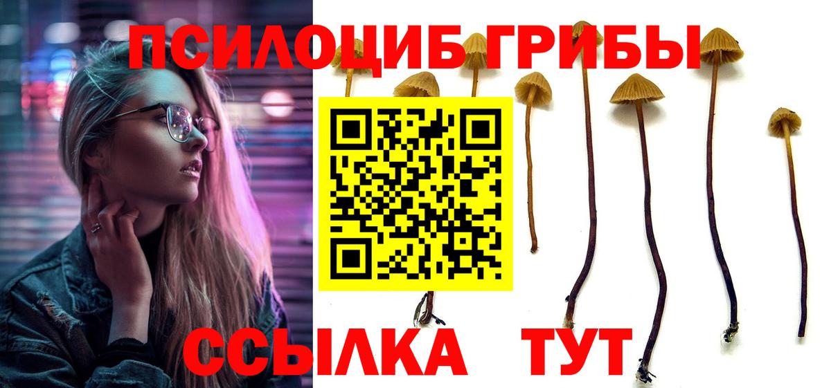 Галлюциногенные грибы мухоморы  Вход с VPN  купить   Керчь 